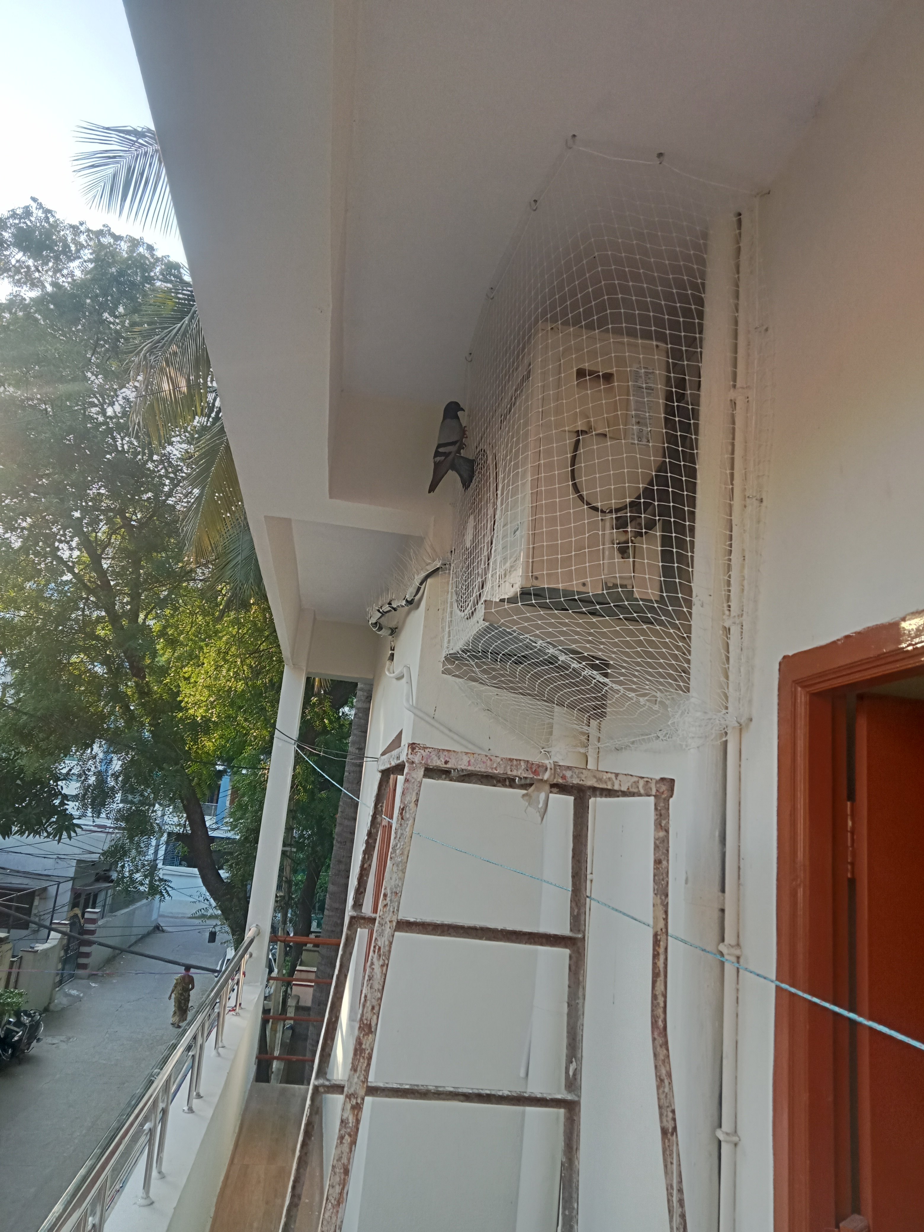 Pigeon Mesh for AC