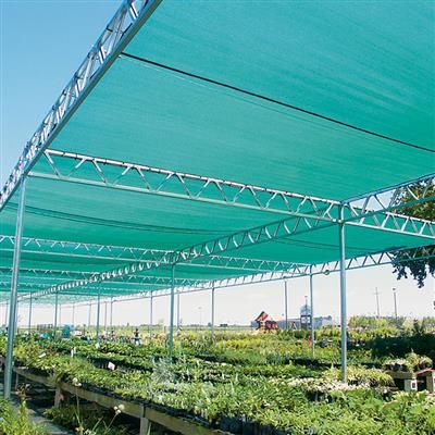 Pigeon Nets Hyderabad & Vijayawada