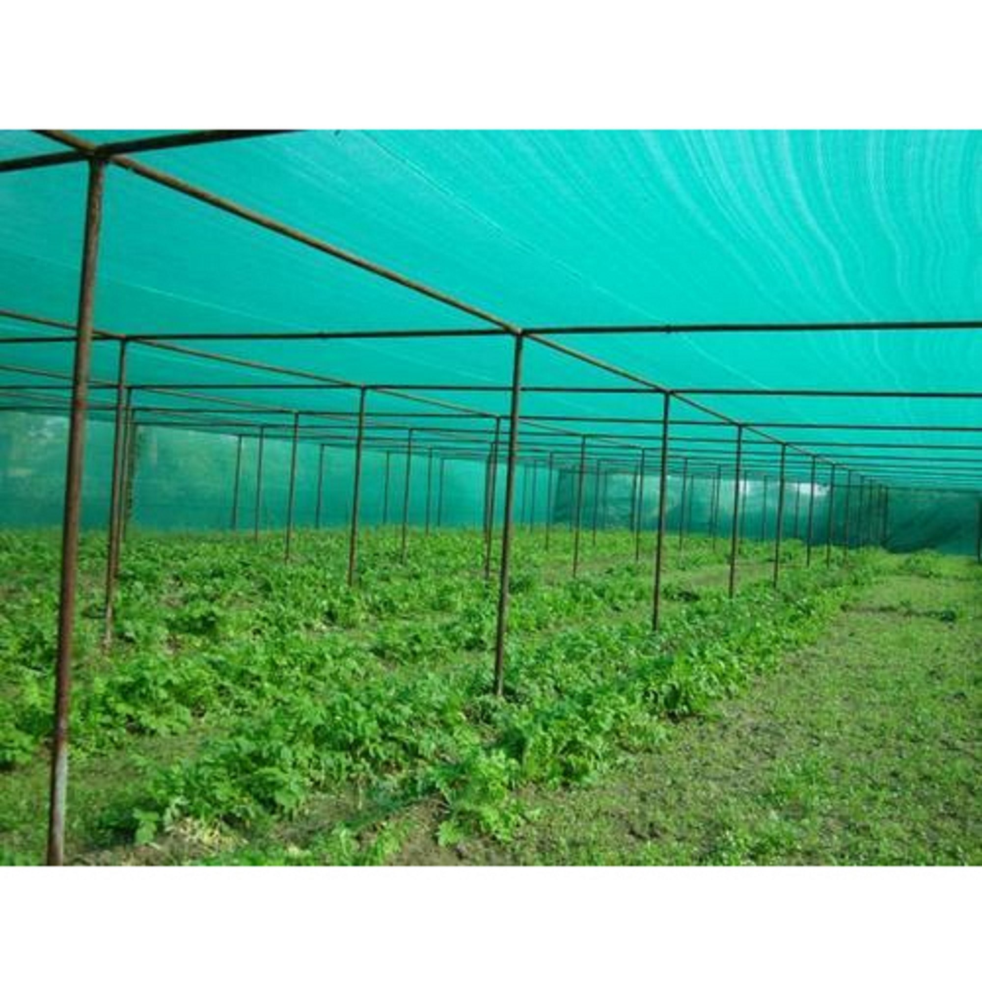 Agriculture Shade Nets Installation