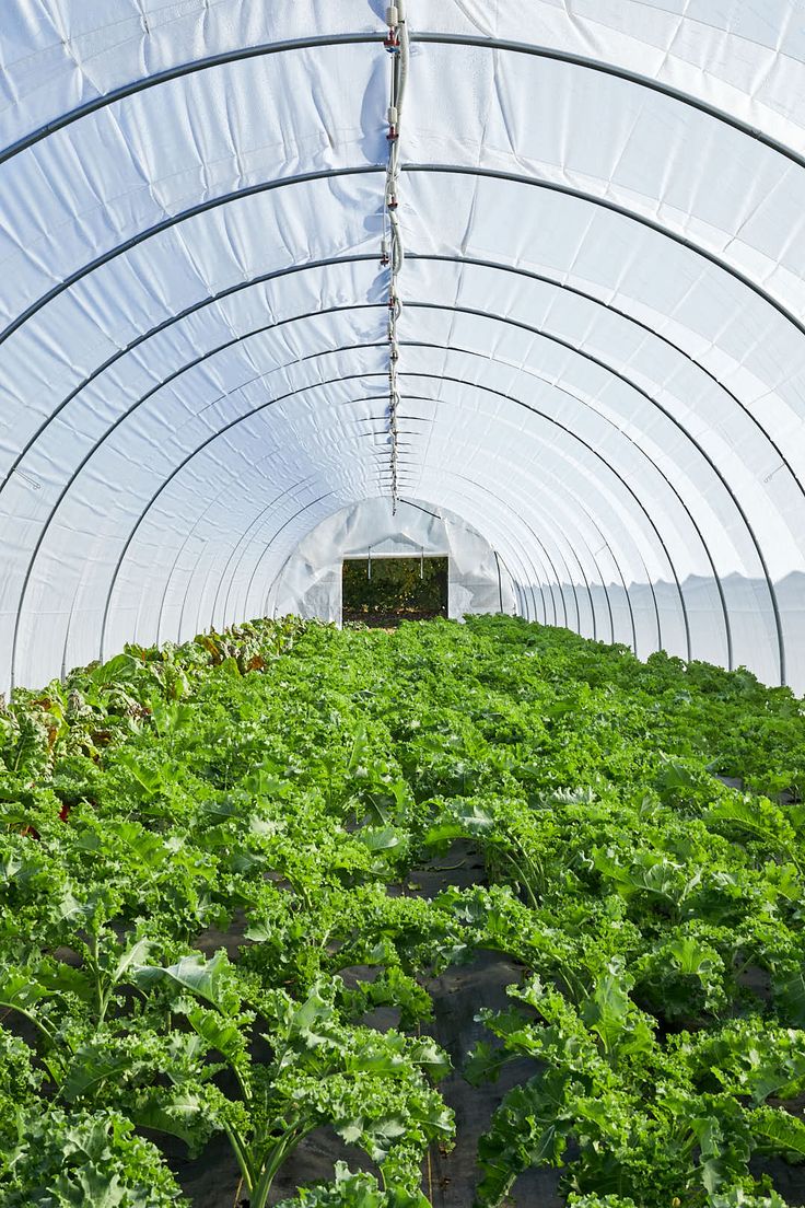 Nursery Green Net