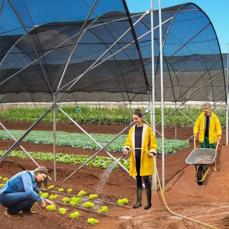 Farm UV Protection Net