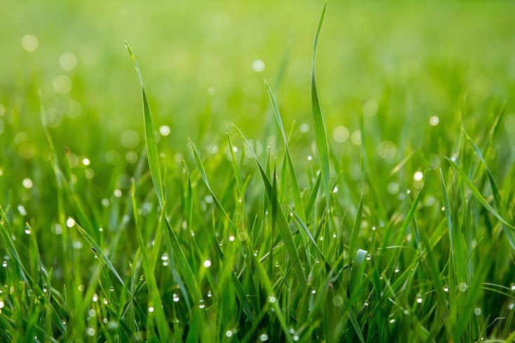 Commercial Sports Turf