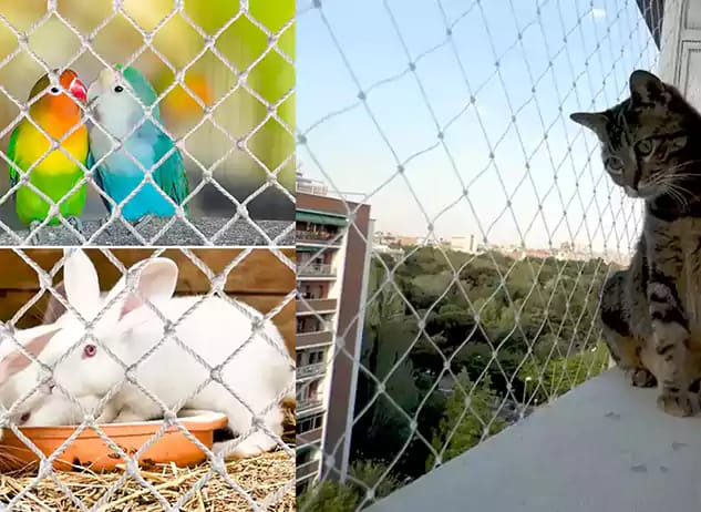 Pet's Safety Nets Hyderabad & Vijayawada