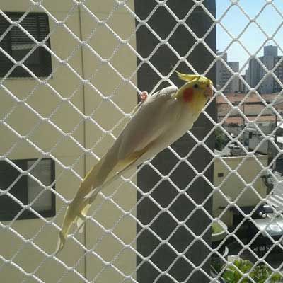 Fine Mesh Bird Netting