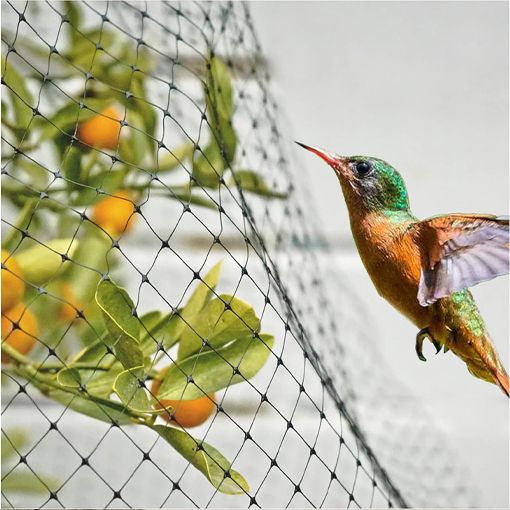 Ventilation Netting