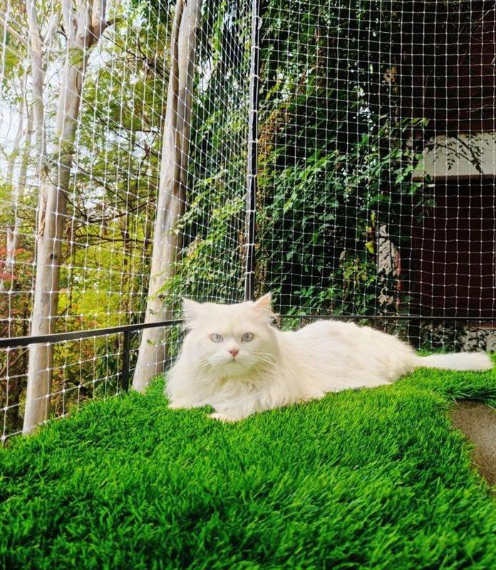 Pets Safety Nets